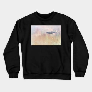 Lonely Mushroom Crewneck Sweatshirt